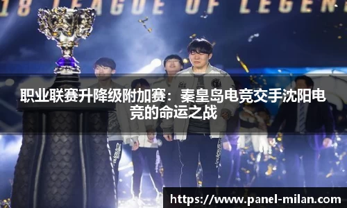 职业联赛升降级附加赛：秦皇岛电竞交手沈阳电竞的命运之战